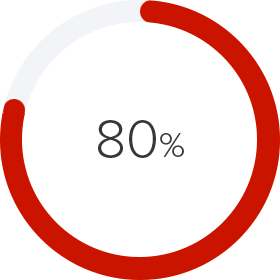 80 percent pie chart